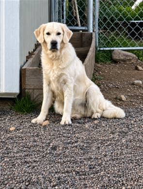 Macy
