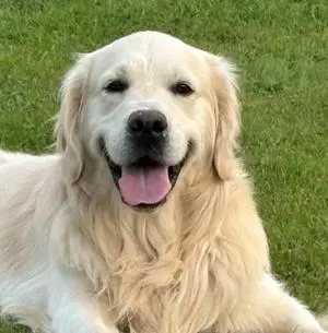 Ranger