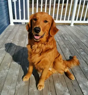 Tucker