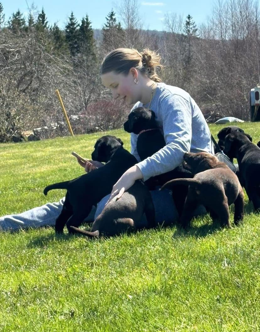 Family socialization